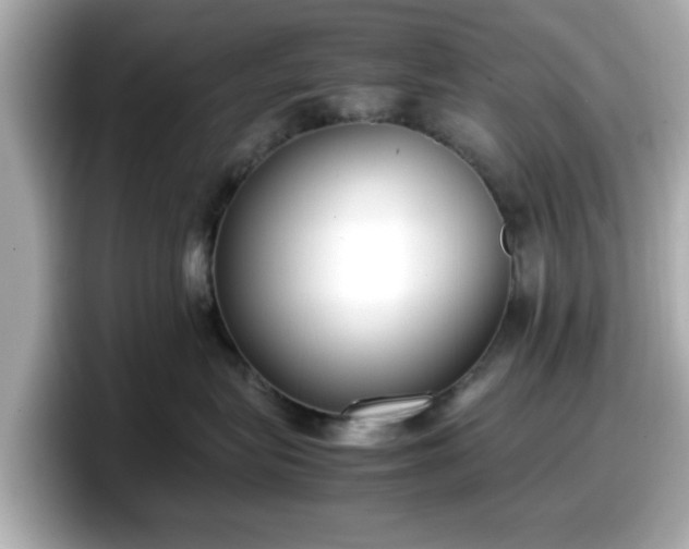 X0000098120575200804111117