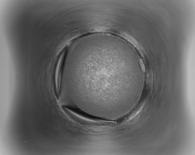 X0000098120577200804111117