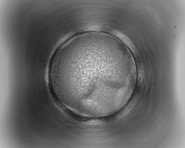 X0000098120578200804111117