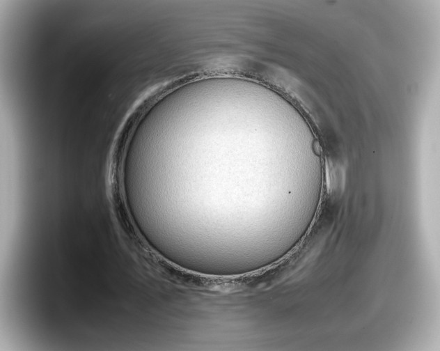 X0000098120579200804111117