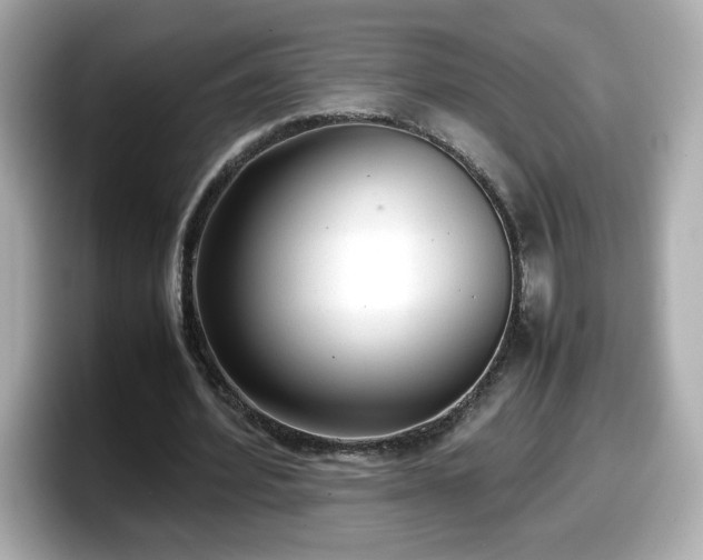 X0000098120580200804111117