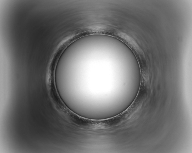 X0000098120583200804111117