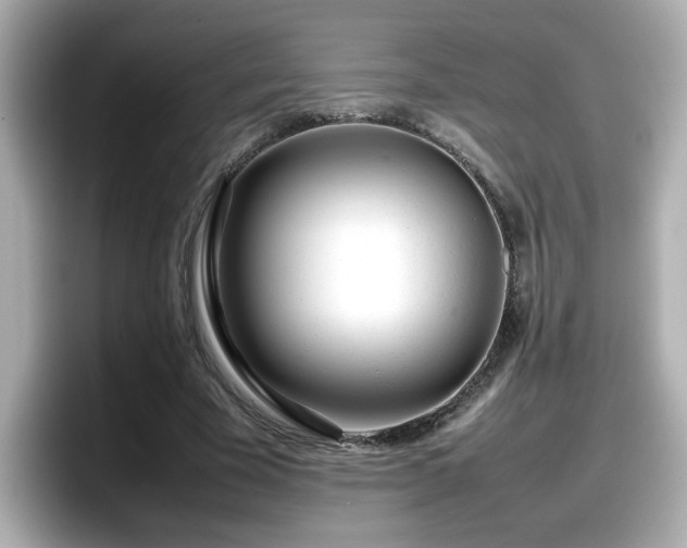 X0000098120585200804111117