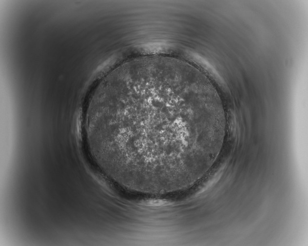 X0000098120590200804111117