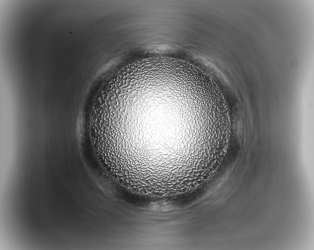 X0000098120591200804111117