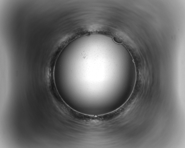 X0000098120592200804111117