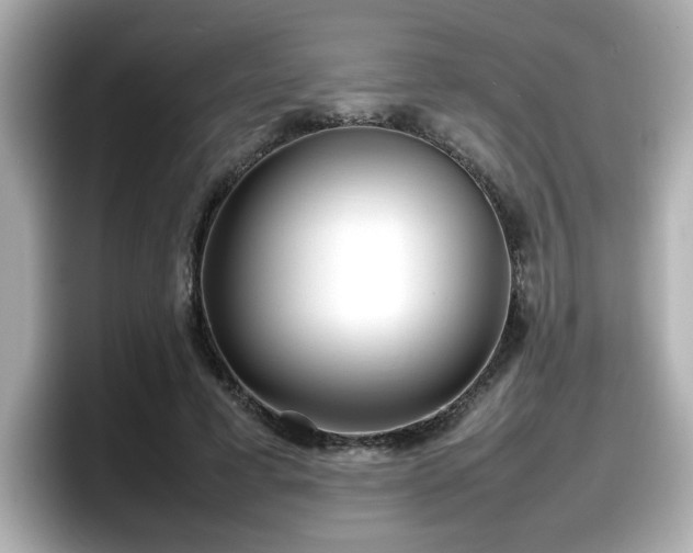 X0000098120593200804111117