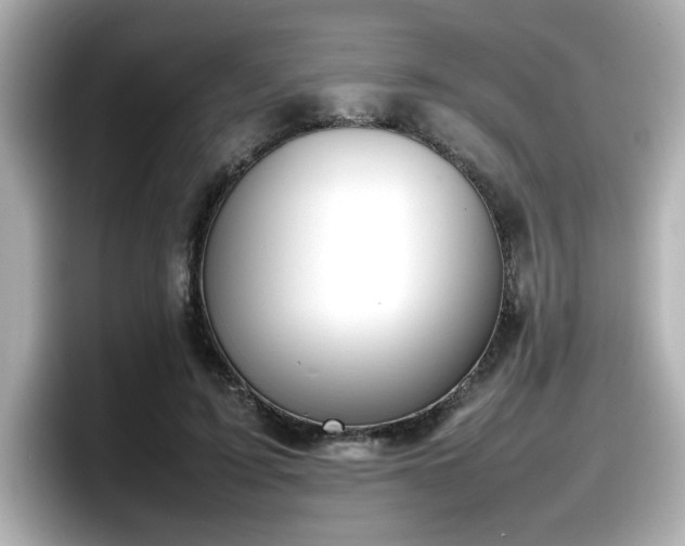 X0000098120595200804111117