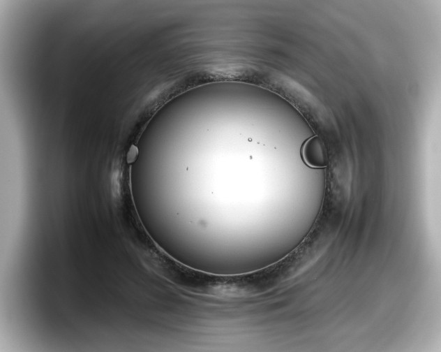 X0000098120596200804111117