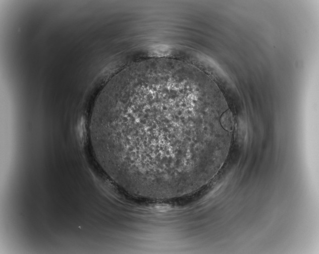 X0000098120598200804111117