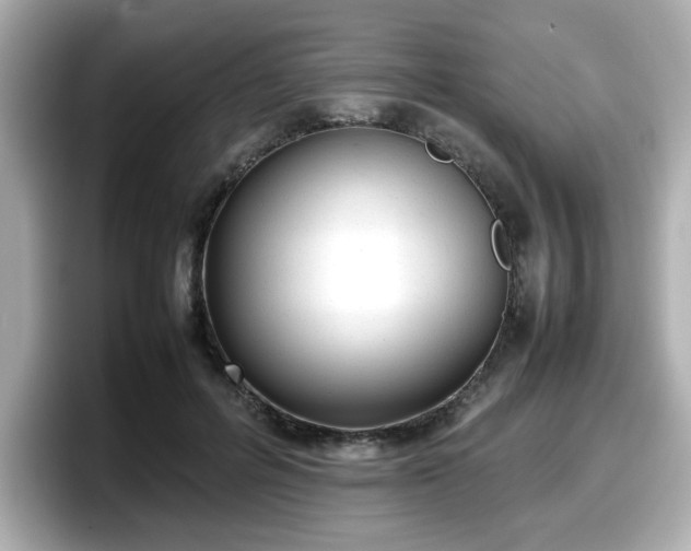 X0000098120600200804111117