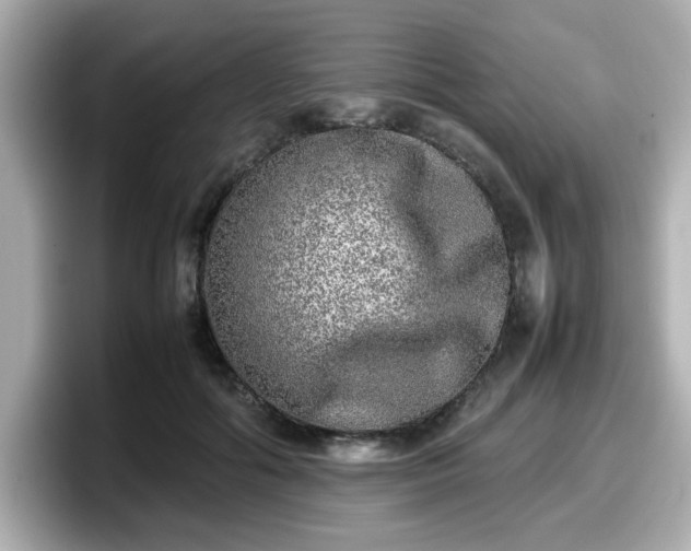 X0000098120602200804111116