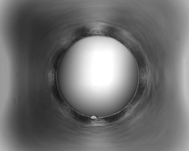 X0000098120603200804111116
