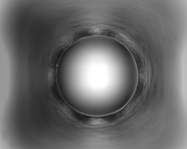 X0000098120605200804111116