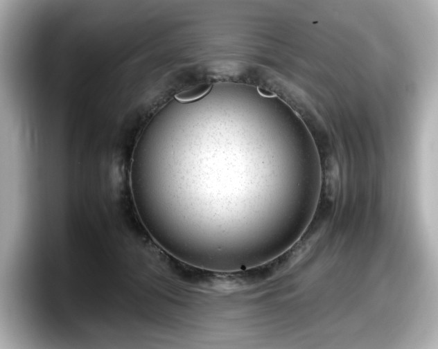 X0000098120608200804111116