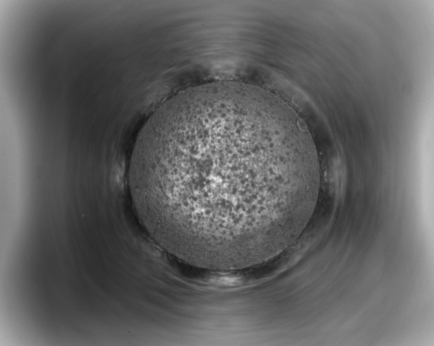 X0000098120610200804111116