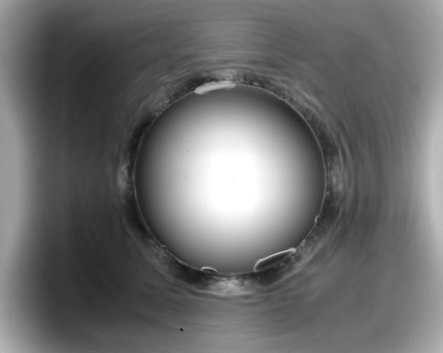 X0000098120611200804111116