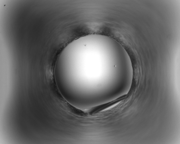 X0000098120613200804111116