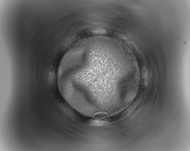 X0000098120614200804111116