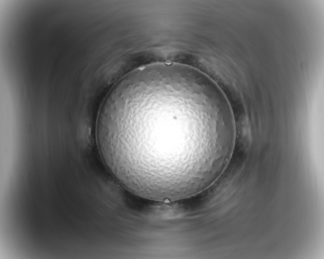 X0000098120615200804111116