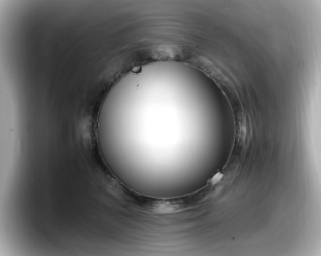 X0000098120616200804111116