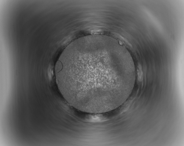 X0000098120618200804111116