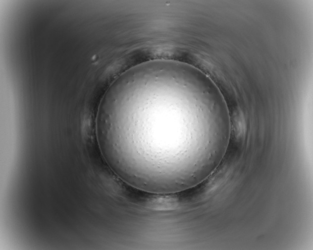 X0000098120619200804111116