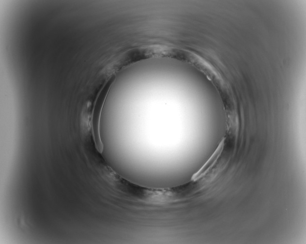 X0000098120621200804111116