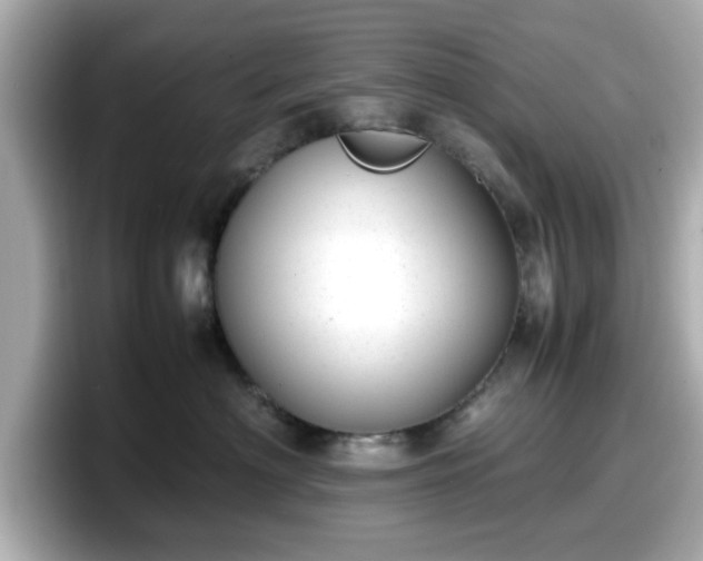 X0000098120622200804111116