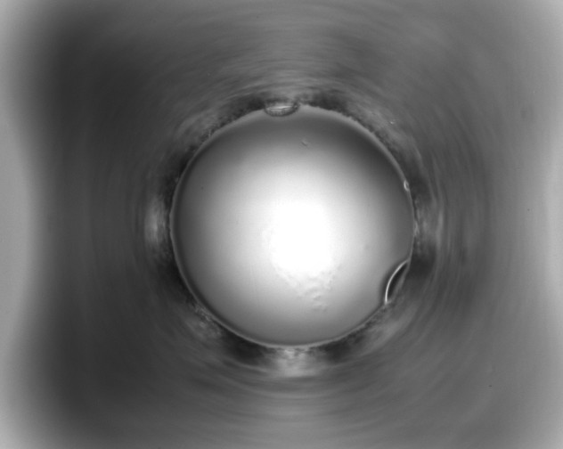 X0000098120623200804111116