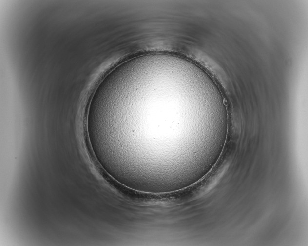 X0000098120625200804111116