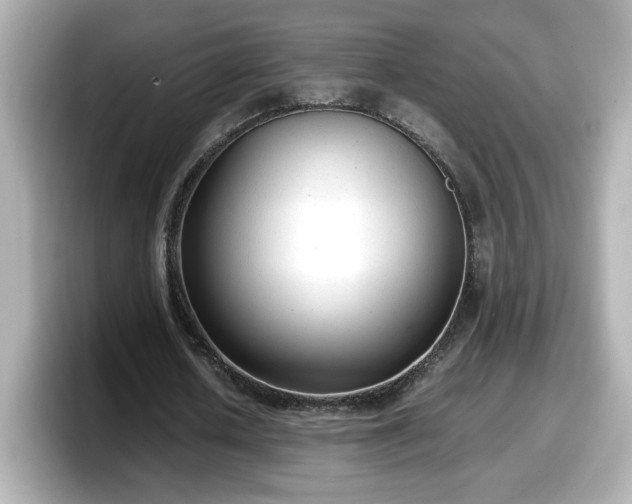 X0000098120626200804111116