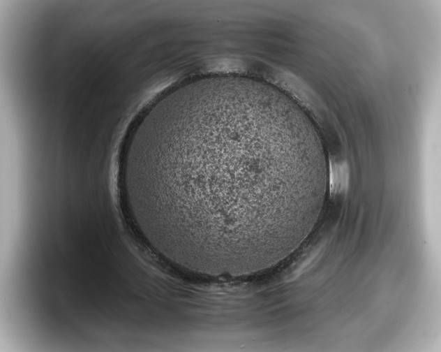 X0000098120627200804111116