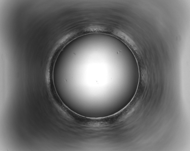 X0000098120629200804111116