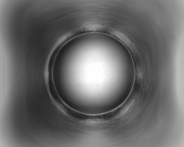 X0000098120630200804111116