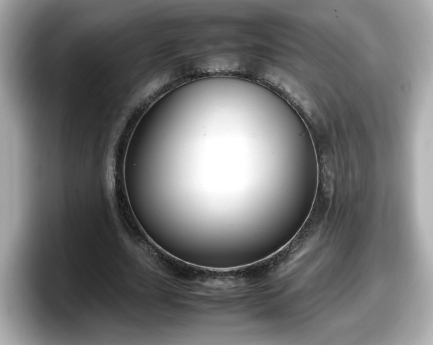 X0000098120631200804111116