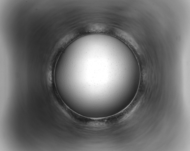 X0000098120633200804111116