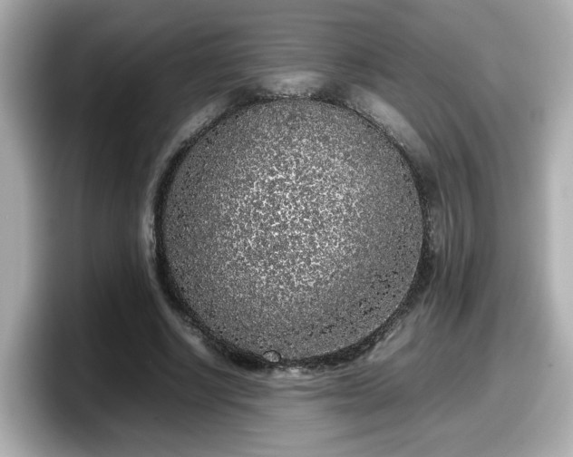 X0000098120634200804111116