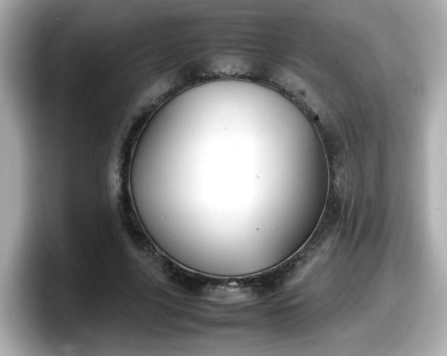 X0000098120635200804111116