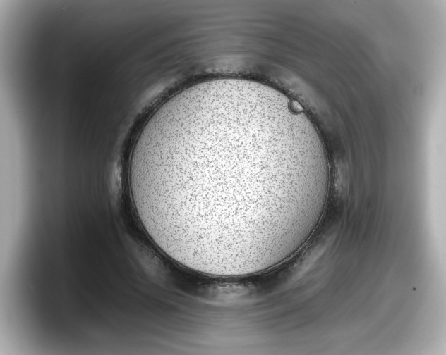 X0000098120636200804111116