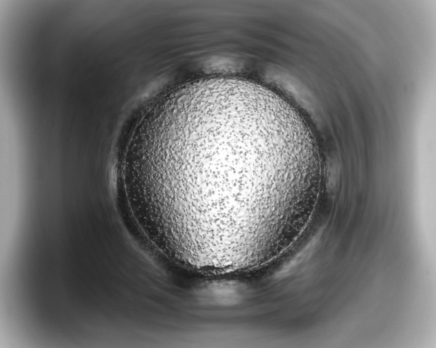 X0000098120637200804111116