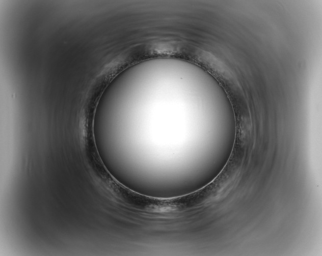 X0000098120639200804111116
