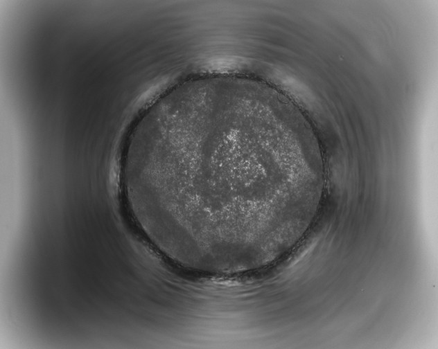 X0000098120640200804111116