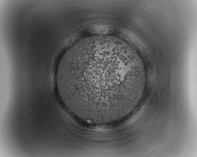 X0000098120641200804111116
