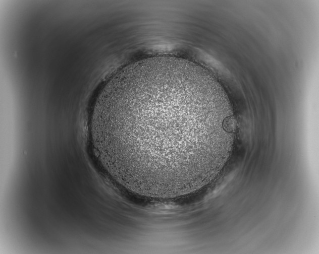 X0000098120642200804111116