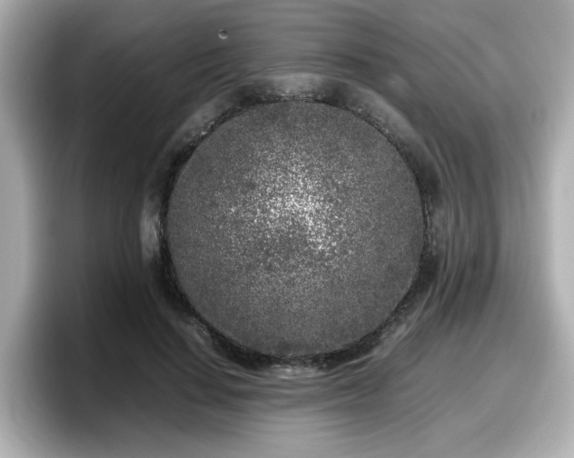 X0000098120644200804111116
