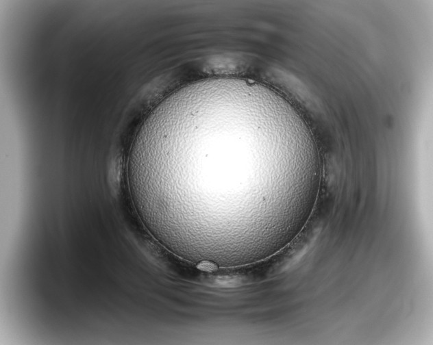 X0000098120645200804111116