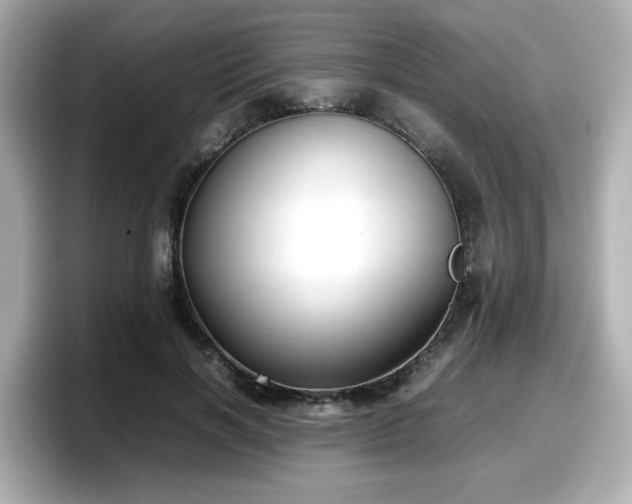 X0000098120646200804111116