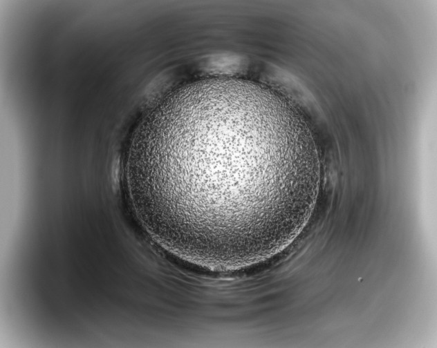 X0000098120647200804111116