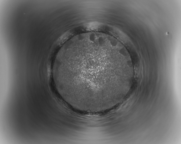 X0000098120648200804111116